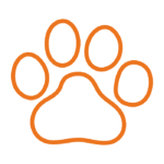 equipamentos-industria-pet